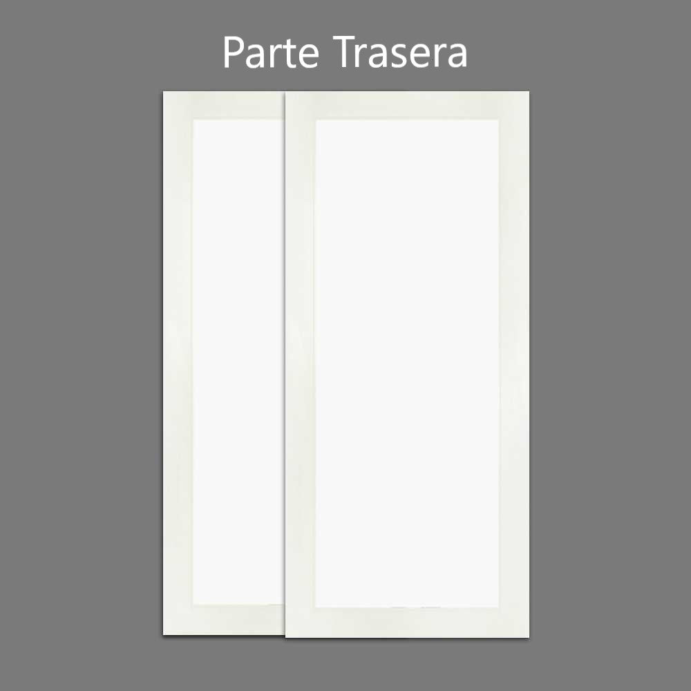 Puerta De Armario Efecto Espejo Bypass PEF2-1945